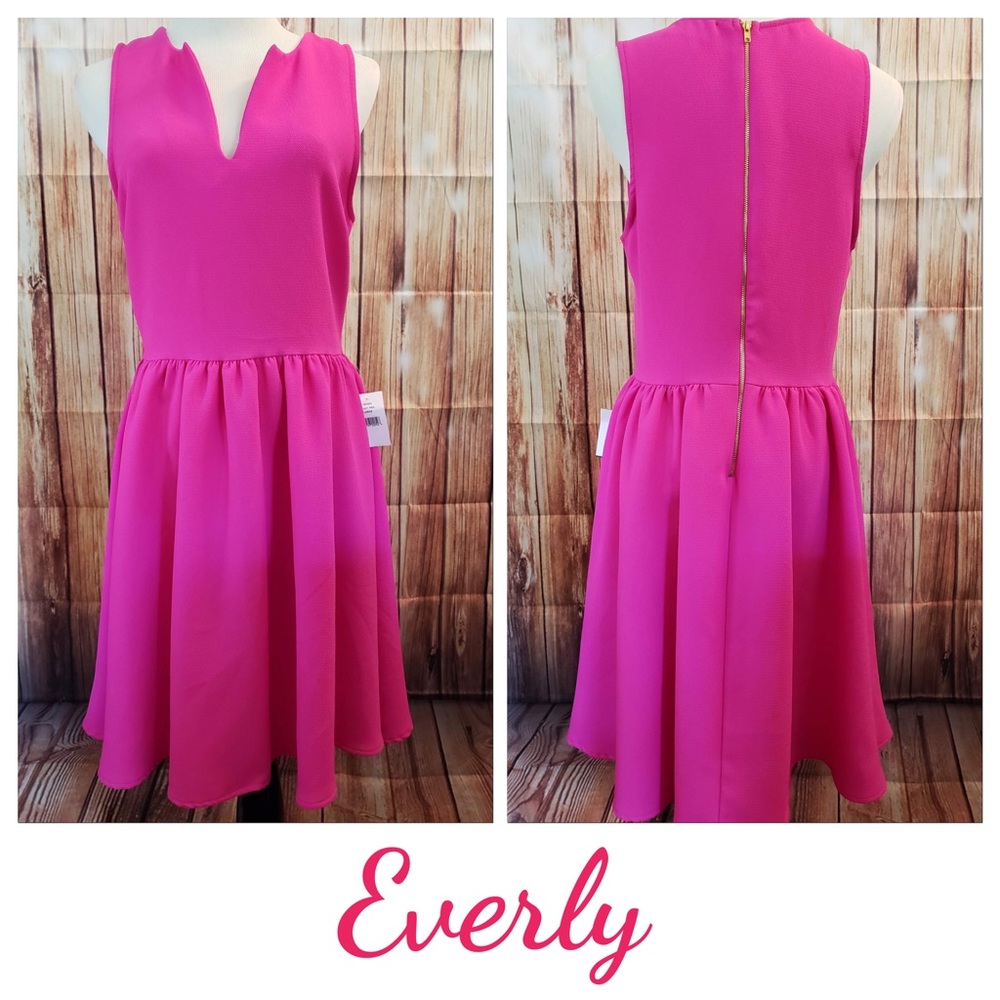 NWT Everly Hot Pink V Neck Dress